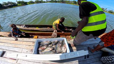 Where’s the catch? The haul of fish that doesn’t need to be taken ashore