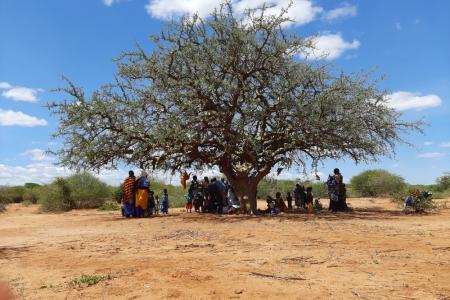 Villagers gathered under a tree in Tanzania