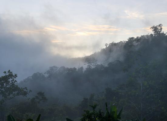 landscape remote PNG