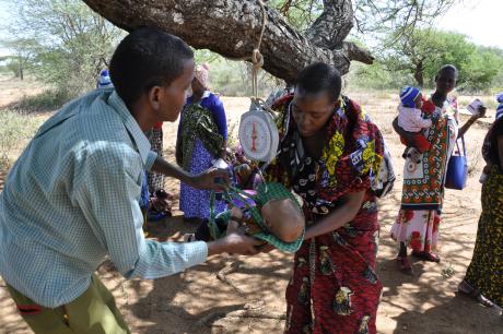  A nurse taking the baby weight during the clinic.