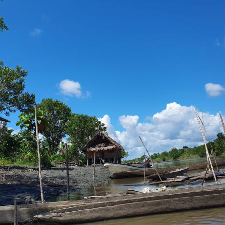 Boats stopped at a village along the edge of the Sepik River