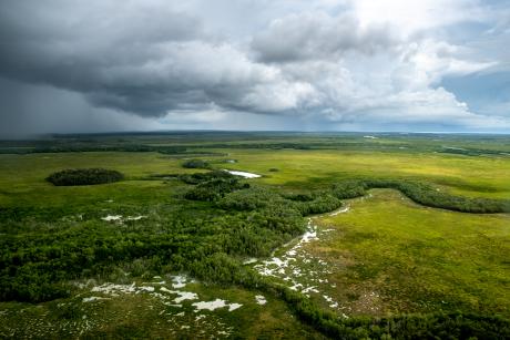 Wet season rainstorms in the distance over a green landscape