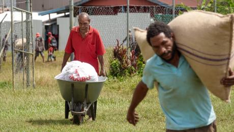 Karimui men carry cacao beans to airstrip for export