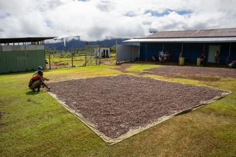 Farming brings income