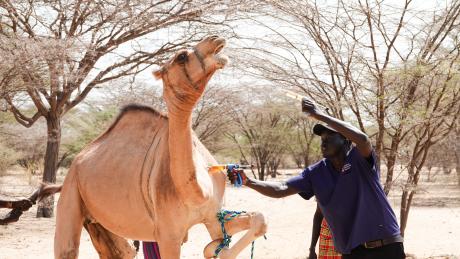 Photo: Hillim Gitonga