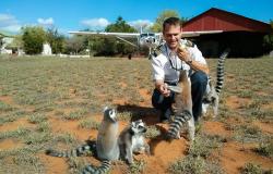 Lemurs and aircraft in Madagascar